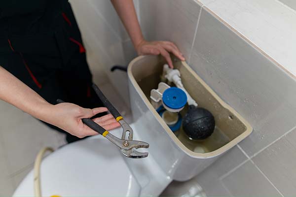 Toilet Repair Services